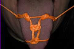 tongue_result