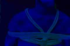 IMG_3220