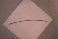 IMG_0040_20081205125845_510