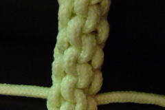 dknot